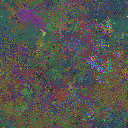 World at epoch 71000