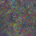 World at epoch 69000