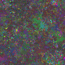 World at epoch 100000