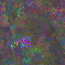 World at epoch 77000
