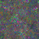World at epoch 77000
