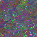 World at epoch 71000