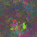 World at epoch 79000