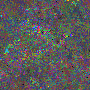 World at epoch 80000