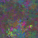 World at epoch 80000