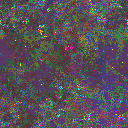World at epoch 115000