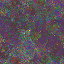 World at epoch 119000