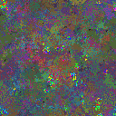 World at epoch 77000