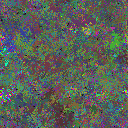 World at epoch 75000