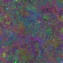 World at epoch 81000