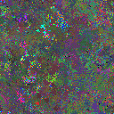 World at epoch 78000