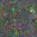 World at epoch 79000