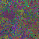 World at epoch 75000