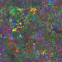 World at epoch 81000