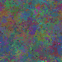 World at epoch 79000