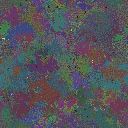 World at epoch 64000