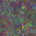 World at epoch 155000