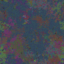 World at epoch 95000