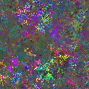 World at epoch 95000
