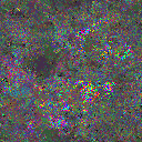 World at epoch 65000