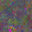 World at epoch 74000