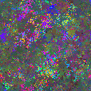 World at epoch 97000