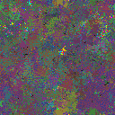 World at epoch 75000
