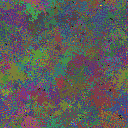 World at epoch 79000