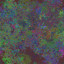 World at epoch 79000