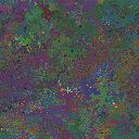 World at epoch 118000