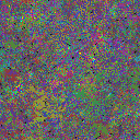 World at epoch 61000