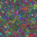 World at epoch 115000