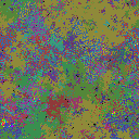 World at epoch 75000