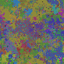 World at epoch 76000