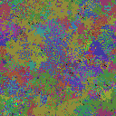 World at epoch 77000
