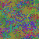 World at epoch 78000