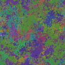World at epoch 75000