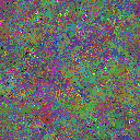 World at epoch 77000