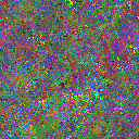 World at epoch 79000