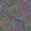 World at epoch 80000