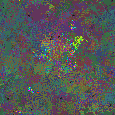 World at epoch 109000