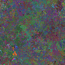 World at epoch 125000