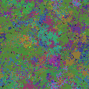 World at epoch 79000