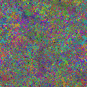 World at epoch 82000