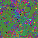 World at epoch 81000