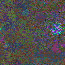 World at epoch 125000