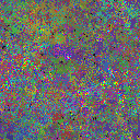 World at epoch 85000