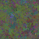 World at epoch 100000