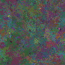 World at epoch 116000