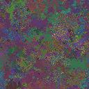World at epoch 95000